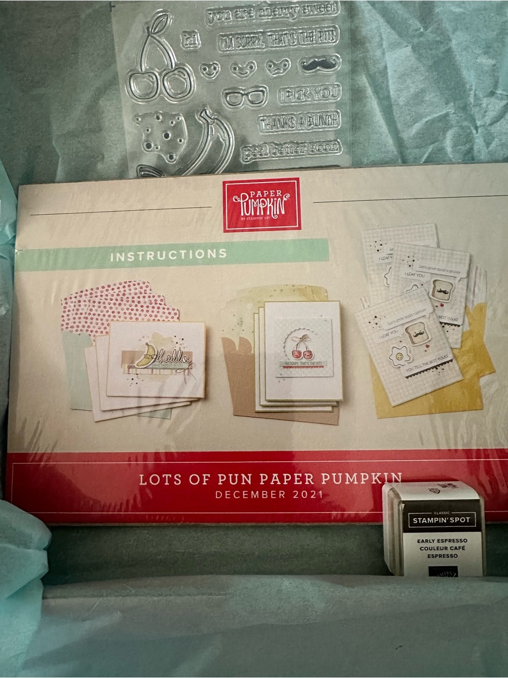 Stampin' Up! Lots of Pun Paper Pumpkin Kit with Red Accents